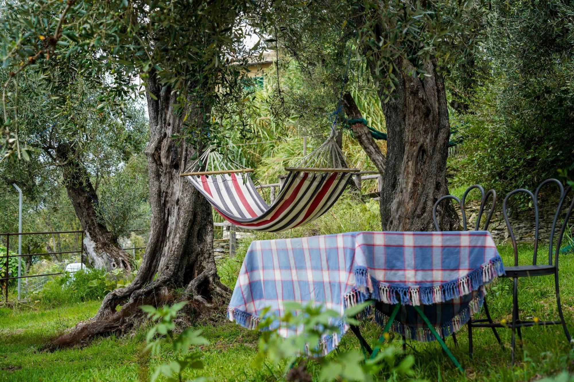 Casa Pernice Lavagna Eksteriør billede